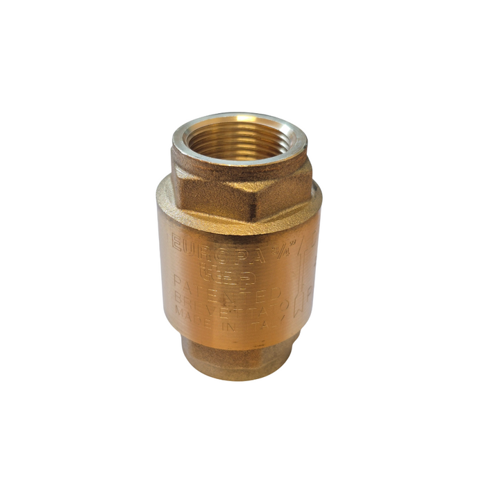 Brass Spring Check Valve